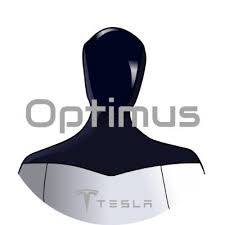 Tesla Optimus