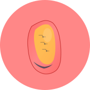 Nano Banana Pro - Studio-Quality AI Image Generator with Precision Control | Nano Banana Pro